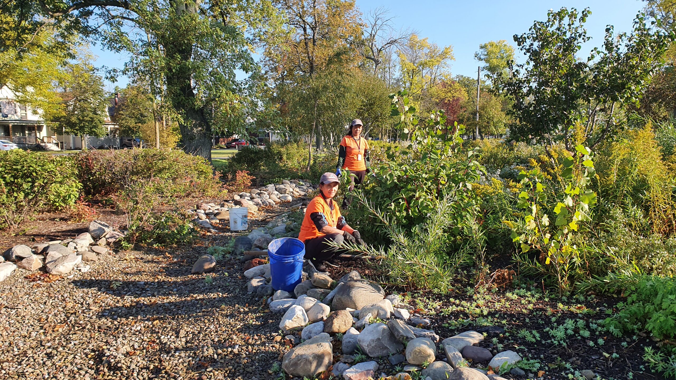 Our Team | Buffalo Olmsted Parks Conservancy