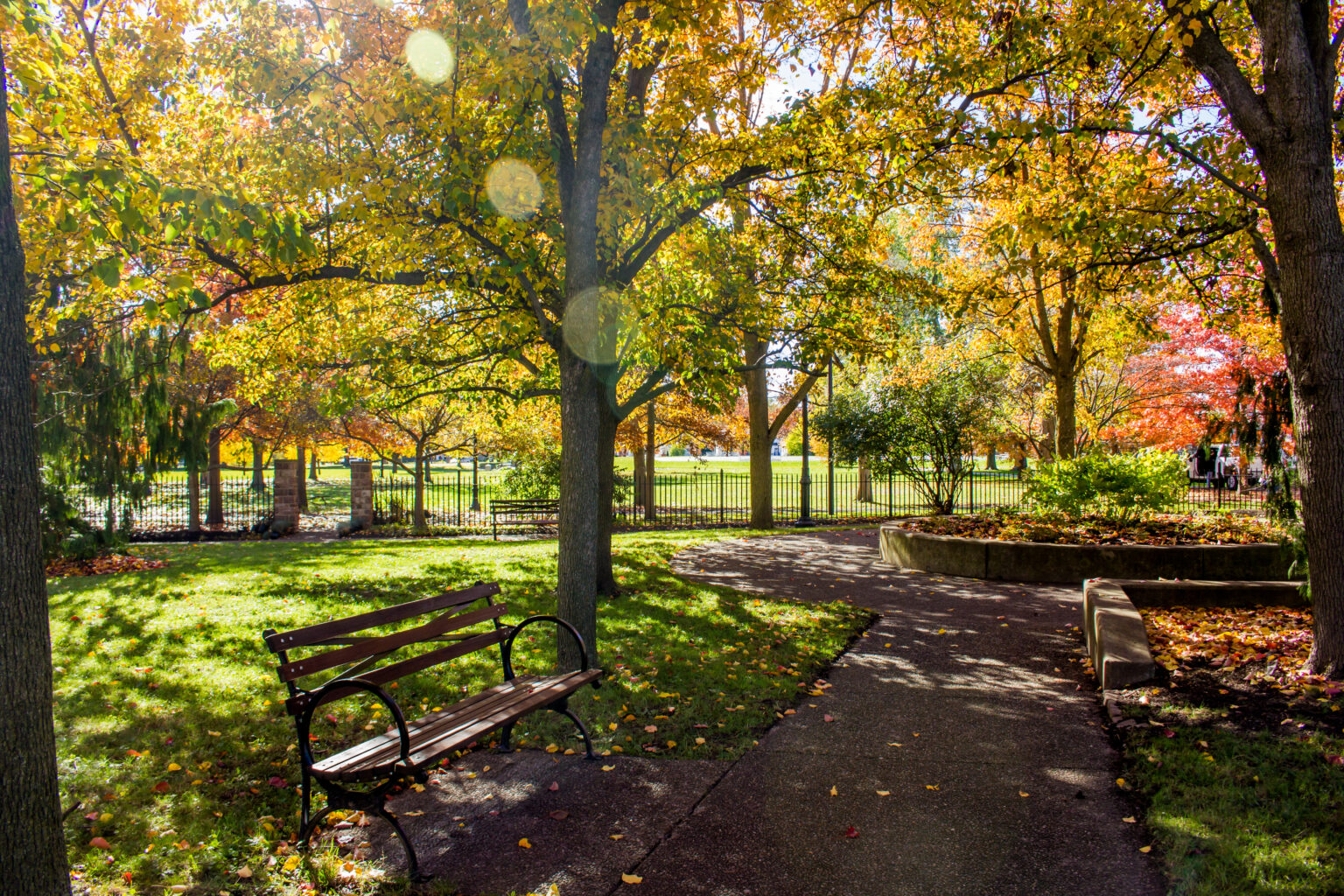 Buffalo Olmsted Parks Conservancy Release Position Profile In Search ...