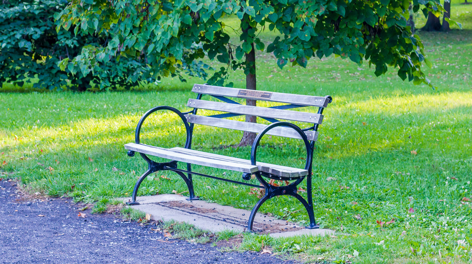 Purchase a Commemorative Bench