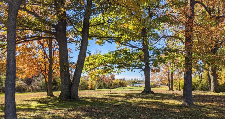 South Park Arboretum Awarded Level I Accreditation | News | Buffalo ...