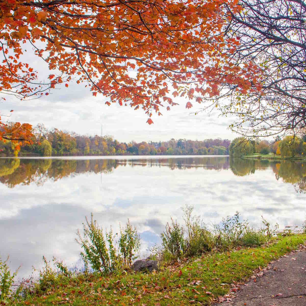 view of Hoyt Lake with orange foliage at the top and a lake in the middle. Fall colors surrounding the lake