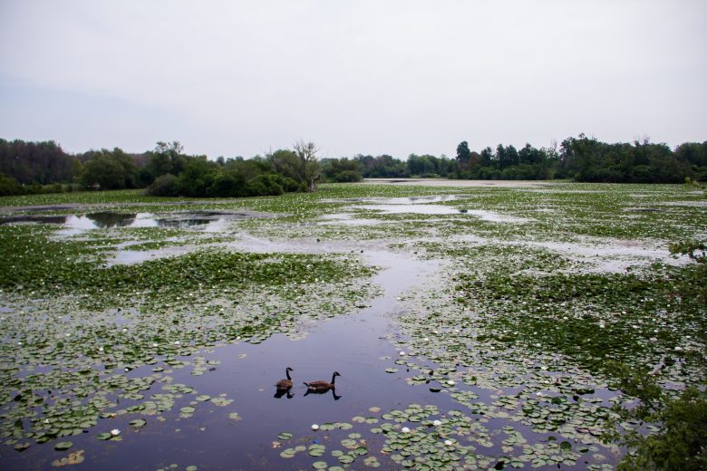 Photos | Buffalo Olmsted Parks Conservancy - His Legacy. Our Inheritance.