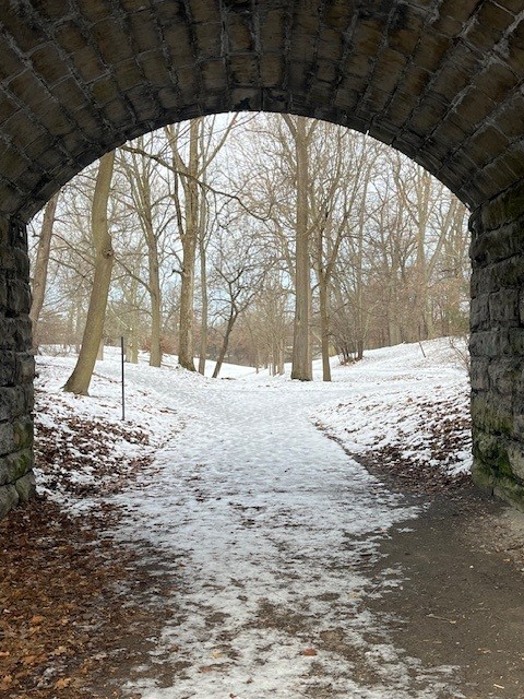 View of trees from under a bridge