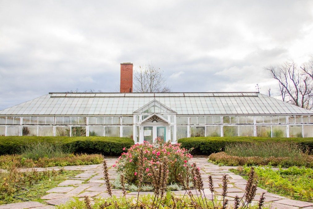 Photos | Buffalo Olmsted Parks Conservancy - His Legacy. Our Inheritance.