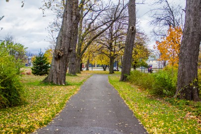 Photos | Buffalo Olmsted Parks Conservancy - His Legacy. Our Inheritance.