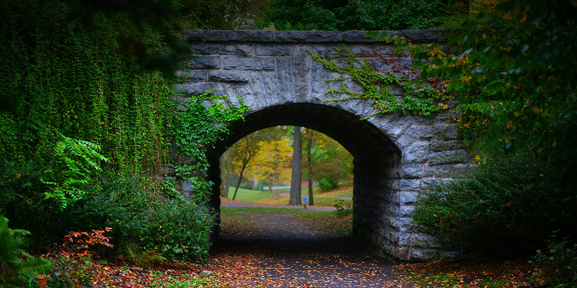 The Official Website Of Buffalo Olmsted Parks Conservancy